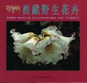 西藏野生花卉 [画册]