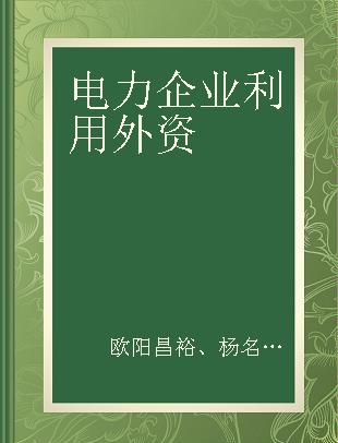 电力企业利用外资