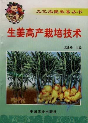 生姜高产栽培技术