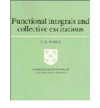 Functional integrals and collective excitations