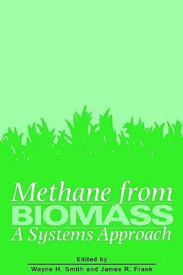 Methane from biomass a systems approach