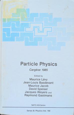 Particle physics Cargèse 1985