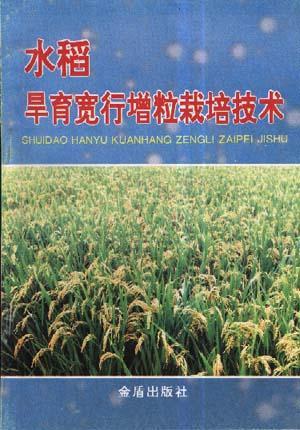 水稻旱育宽行增粒栽培技术