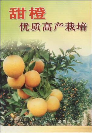 甜橙优质高产栽培
