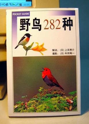 野鸟282种