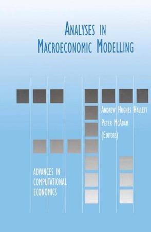 Analyses in macroeconomic modelling