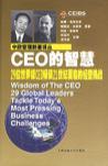 CEO的智慧 29位世界级CEO畅谈21世纪面临的经营挑战 29 Global Leaders Tackle Today's Most Pressing Business Challenges