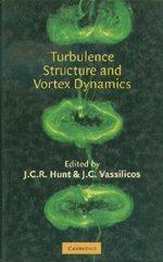 Turbulence structure and vortex dynamics