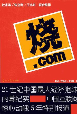 烧.com 21世纪中国最大经济泡沫内幕纪实 中国互联网惊心动魄5年特别报道