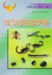 19种药用虫类养殖