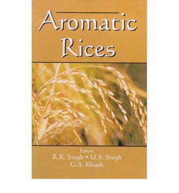 Aromatic rices