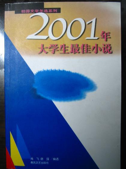 2001年大学生最佳小说