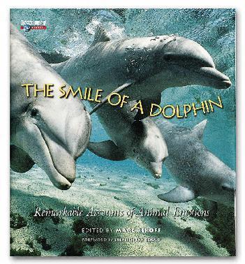 The smile of a dolphin remarkable accounts of animal emotions