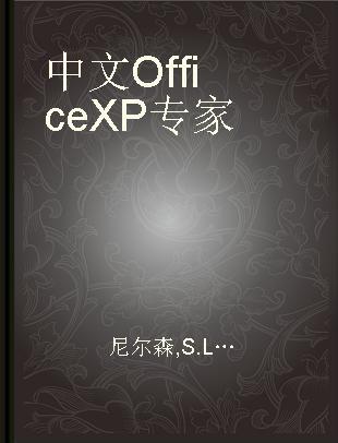 中文Office XP专家