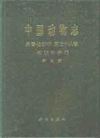 中国动物志 无脊椎动物 第二十八卷 节肢动物门 甲壳动物亚门 端足目 〓亚目