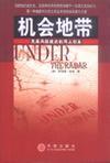 机会地带 无需风险投资的网上创业 Under the Radar