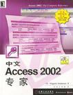 中文Access 2002专家