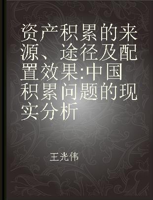 资产积累的来源、途径及配置效果 中国积累问题的现实分析