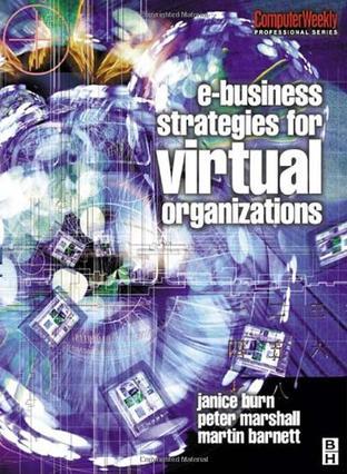 e-Business strategies for virtual organizations