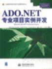 ADO.NET专业项目实例开发