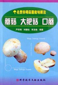 蘑菇 大肥菇 口蘑