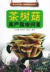 茶树菇高产栽培问答