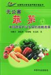 无公害蔬菜 中国蔬菜产业发展的战略选择
