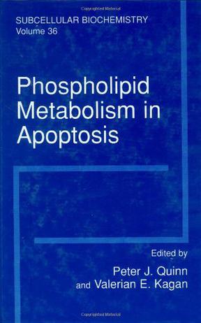 Phospholipid metabolism in apoptosis