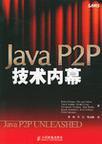 Java P2P技术内幕