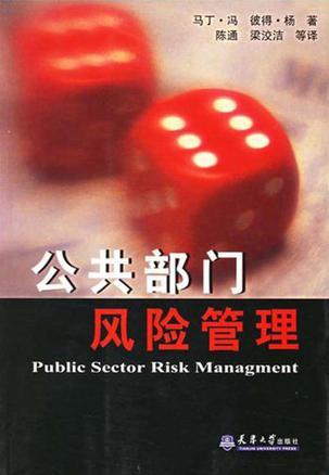 公共部门风险管理