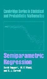 Semiparametric regression