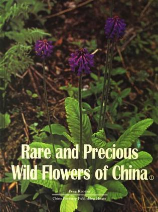 Rare and precious wild flowers of China