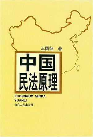 中国民法原理