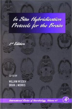 In situ hybridization protocols for the brain