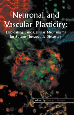 Neuronal and vascular plasticity elucidating basic cellular mechanisms for future therapeutic discovery