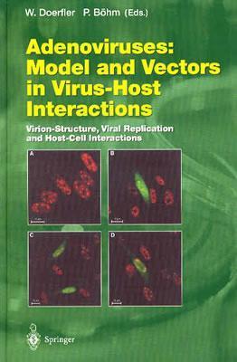 Adenoviruses model and vectors in virus-host interactions : virion-structure, viral replication, host-cell interactions