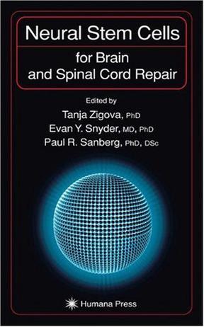 Neural stem cells for brain and spinal cord repair