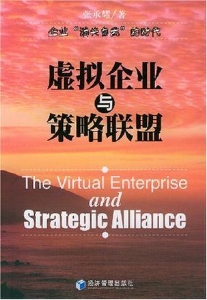 虚拟企业与策略联盟