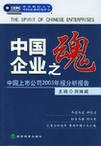 中国企业之魂 中国上市公司2003年报分析报告