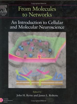 From molecules to networks an introduction to cellular and molecular neuroscience