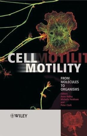 Cell motility from molecules to organisms