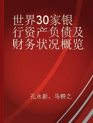 世界30家银行资产负债及财务状况概览