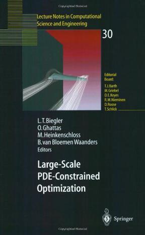 Large-scale PDE-constrained optimization