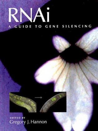 RNAi a guide to gene silencing