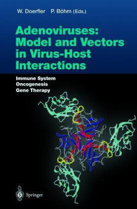 Adenoviruses model and vectors in virus-host interactions : immune system, oncogenesis, gene therapy