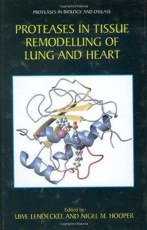 Proteases in tissue remodelling of lung and heart