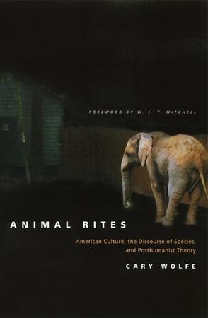 Animal rites American culture, the discourse of species, and posthumanist theory