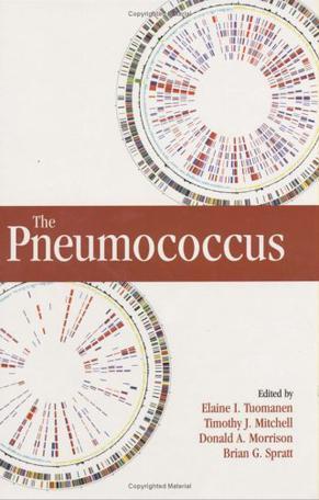 The pneumococcus