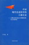 中国现代化进程中的小康社会 小康社会在社会主义初级阶段的历史地位研究