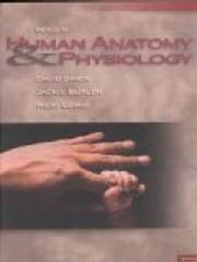 Hole's human anatomy & physiology